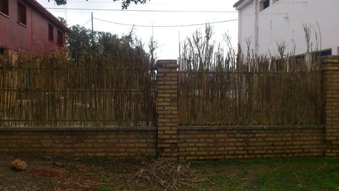 dsc-0059.jpg