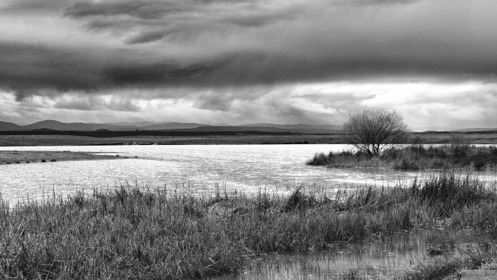 dsc-1121-hdr_1.jpg