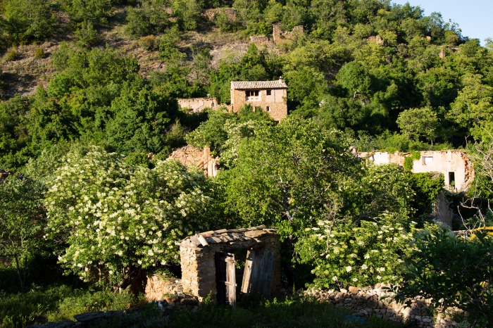 dsc-254.jpg