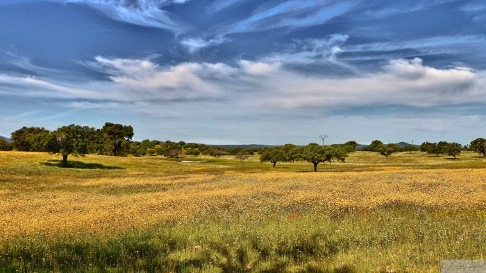dsc-5123-hdr-1-.jpg