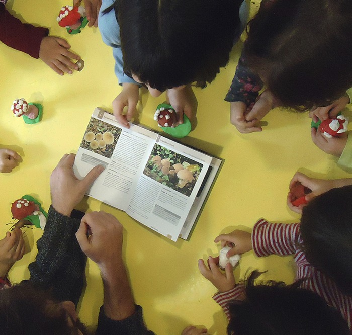 dsc-9220.jpg