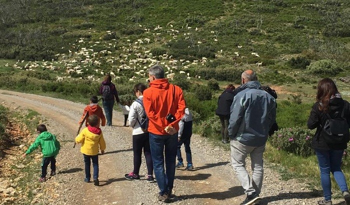 excursion2.72.411.jpg