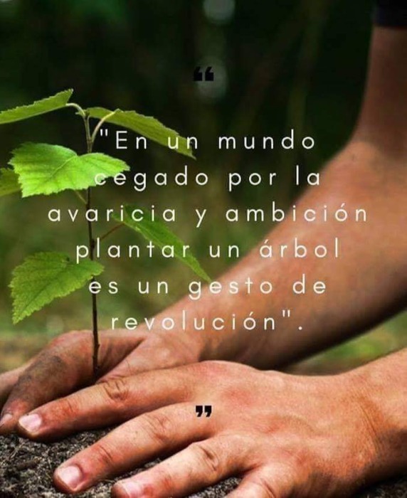fb-img-1561418507434.jpg