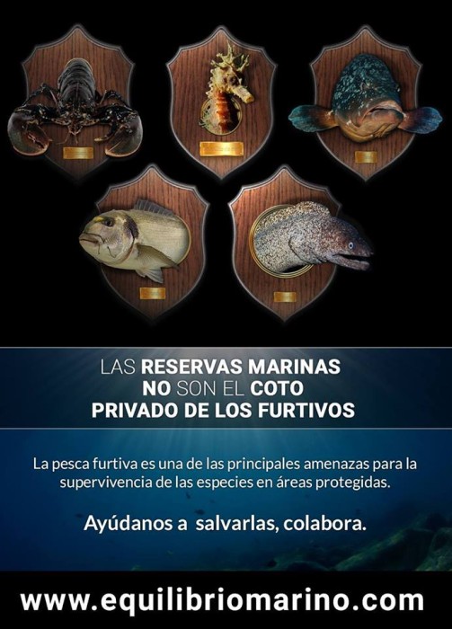 STOP FURTIVOS