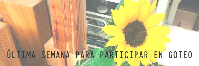 Última semana!