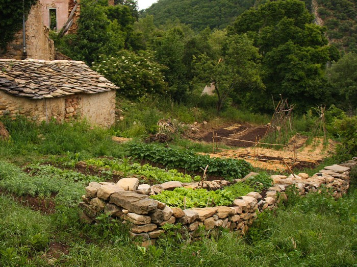 huerto-4.jpg