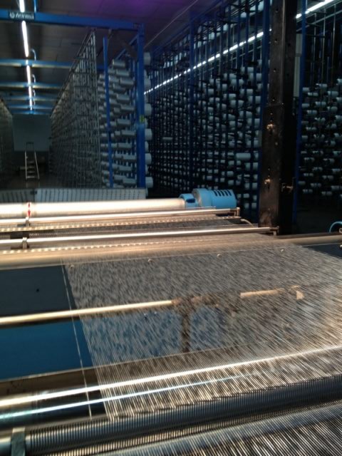 img-13131.jpg