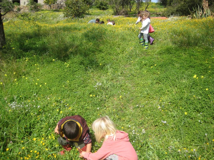 img-1886.jpg