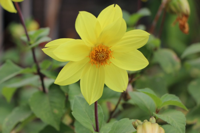 img-1981.jpg