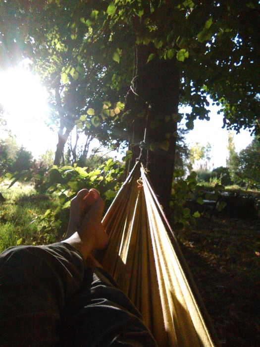 img-20141030-165407.jpg