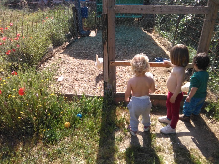 img-20190507-113155.jpg