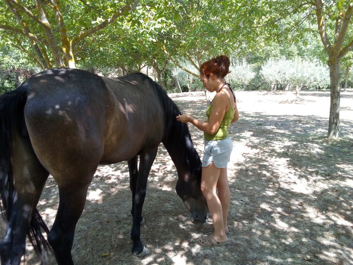 Relación con los caballos en Caminando con caballos