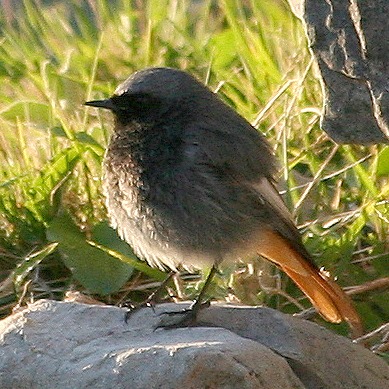 img-2437.jpg