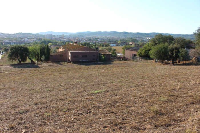 img-3906.jpg