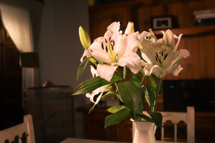 img-6963.jpg