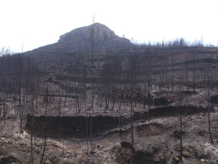 incendio-2.jpg
