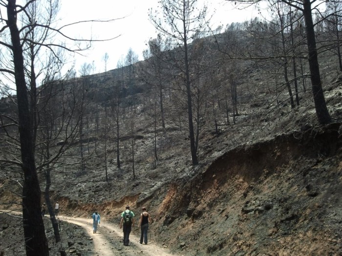 incendio1.jpg