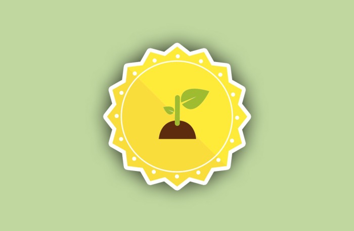 Diseño de recompensas: insignia capital semilla