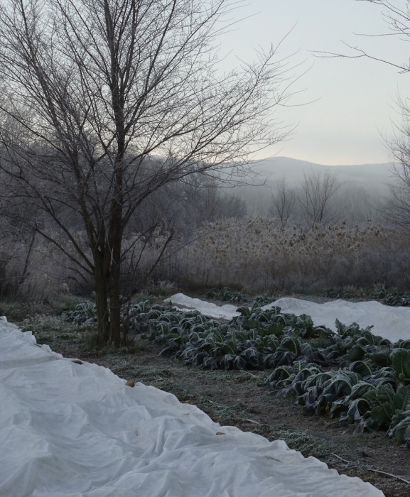 invierno-1-web.jpg