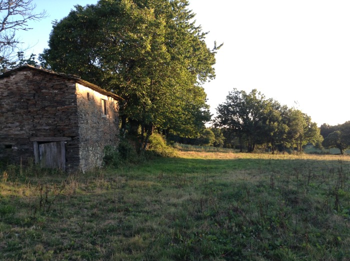 la-foto1.jpg
