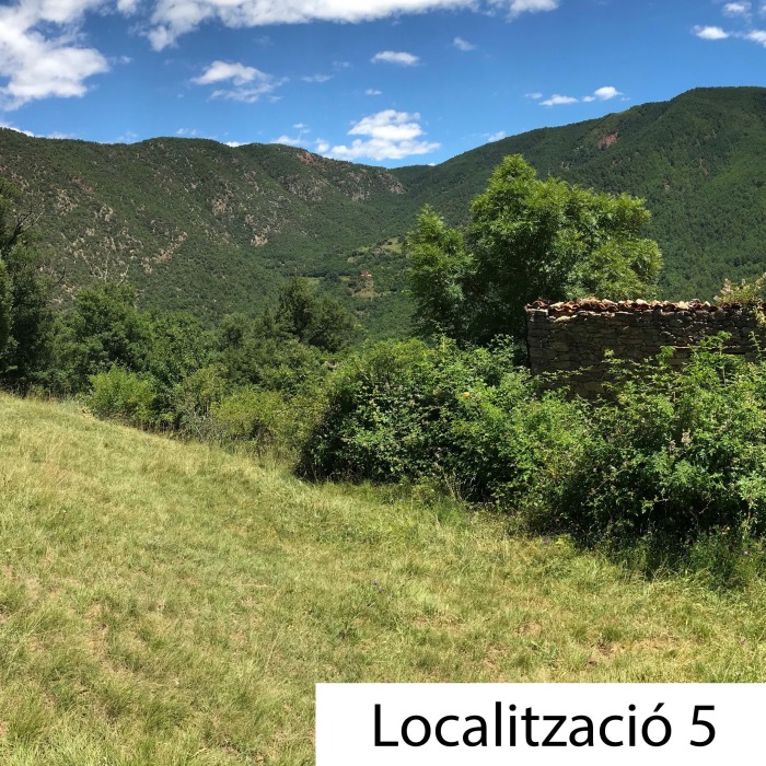 localitzacio-29.jpg