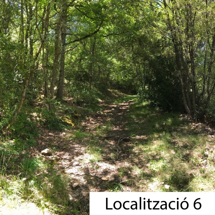localitzacio-32.jpg