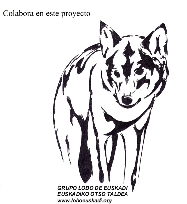 logo-gle-2---copia.jpg