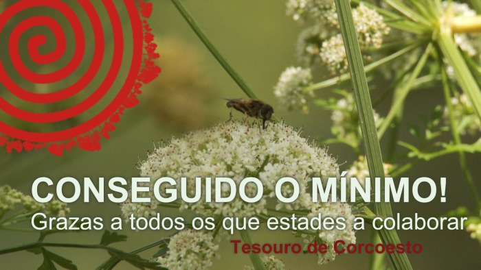 ALCANZADO EL MÍNIMO!!