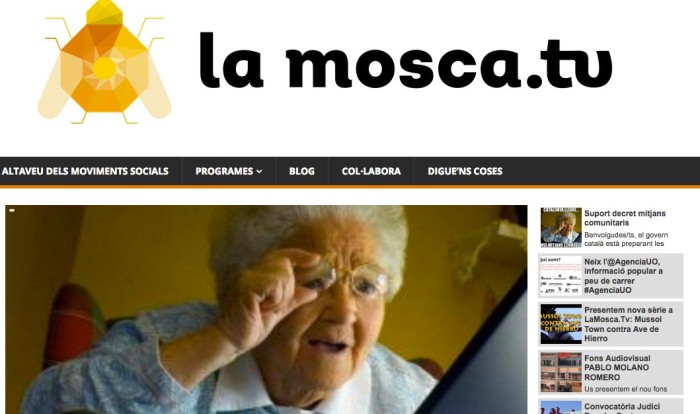 mosca-web.jpg