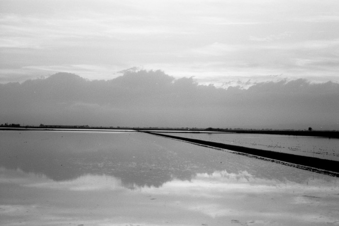 negative0-22-22-1-.jpg