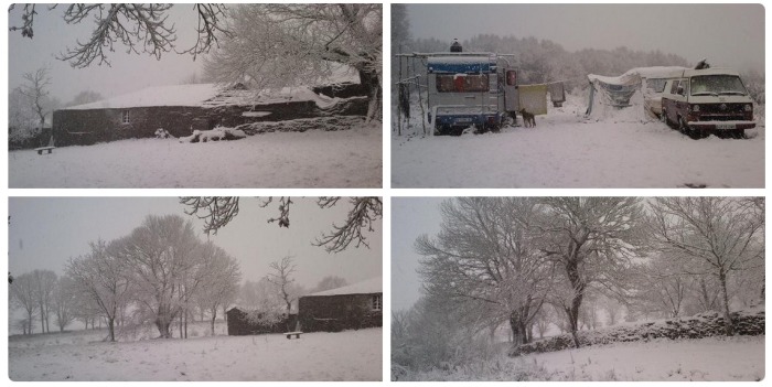 O COUSO BAJO LA NIEVE HOY