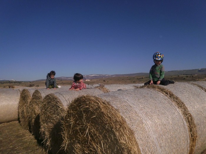 p2170001.jpg