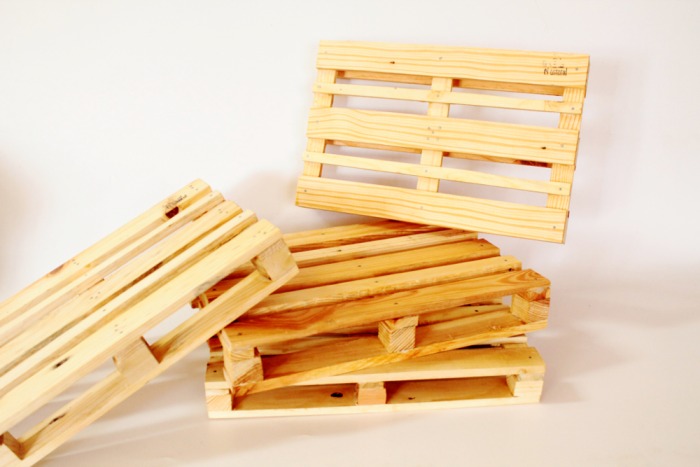 palecitos.jpg