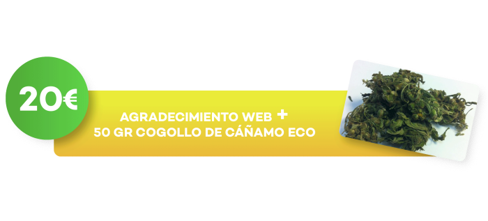 precios-la-verde-20.png