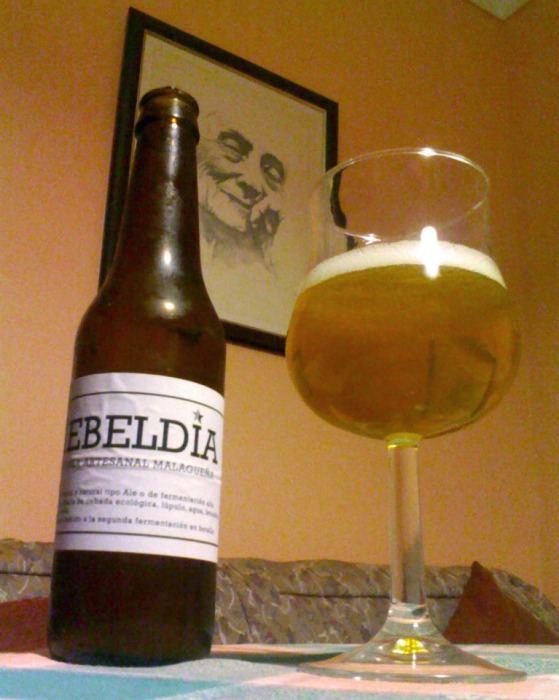 rebeldia-goteo_1.jpg