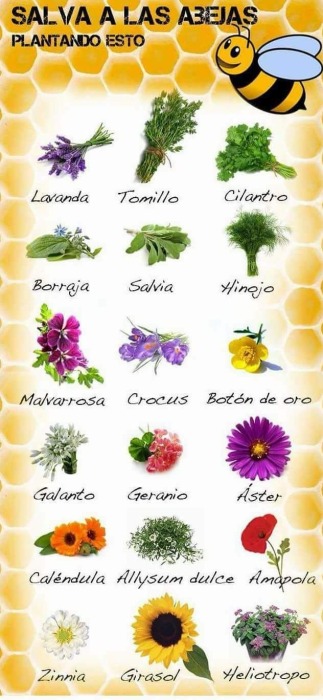 La primavera...