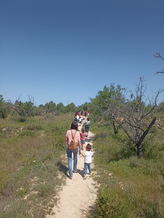 torreta2.jpeg