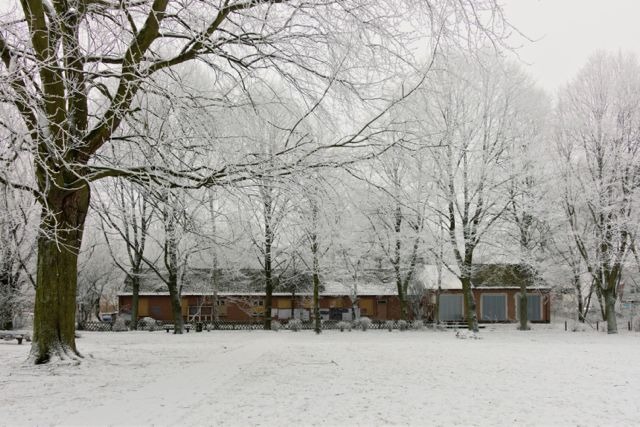 udn-winterr.jpg