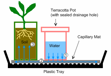 Riego de semilleros o macetas con uso eficiente del agua