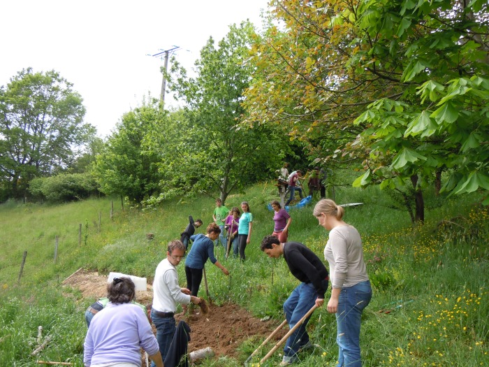 wecohesion-atelierjardinage02.jpg