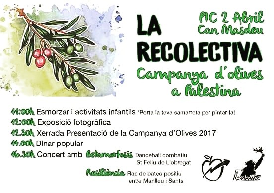Comenzamos la pre-campaña de olivas 2017!