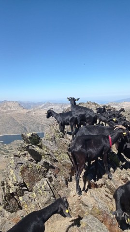 Imagen de cabecera