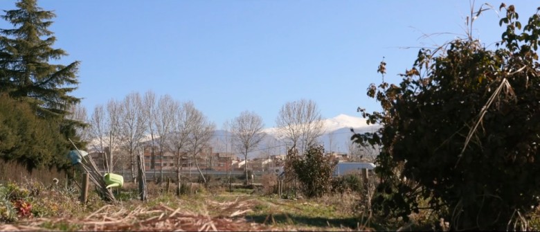 Imagen de cabecera