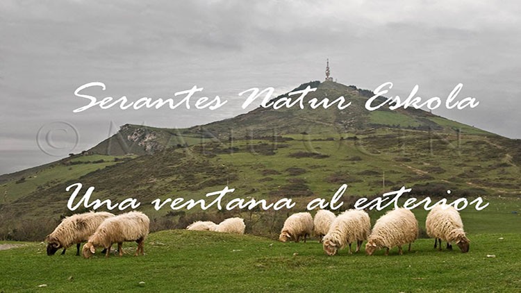 Imagen de cabecera