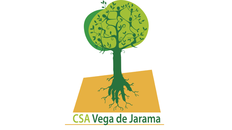 Imagen de cabecera