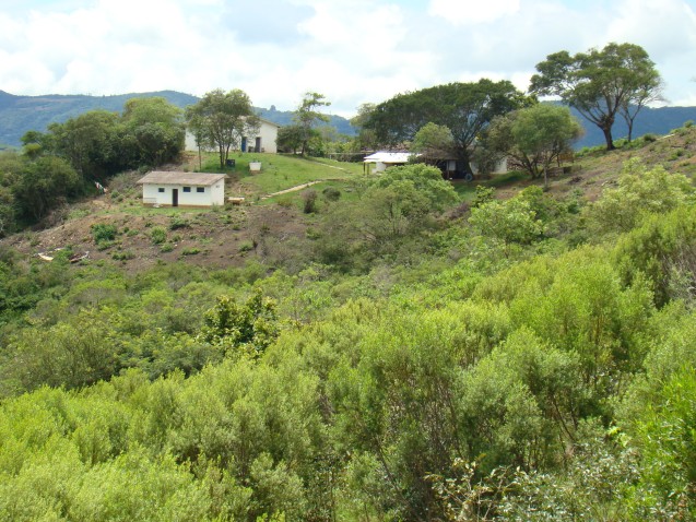 Imagen de cabecera
