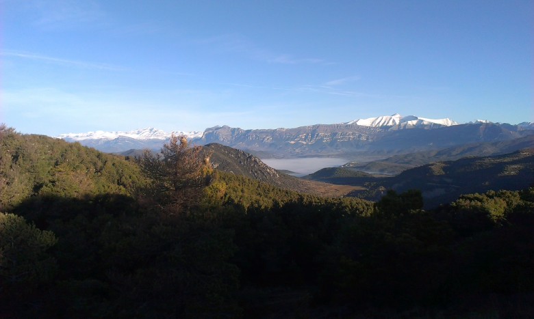Imagen de cabecera