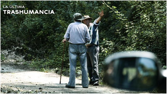 Imagen de cabecera