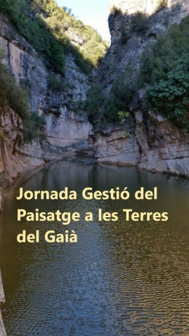 Imagen de cabecera