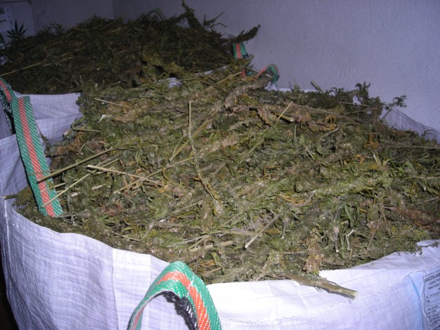Imagen de cabecera
